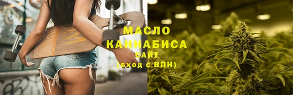 индика Арсеньев