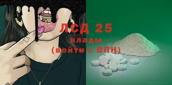 индика Арсеньев