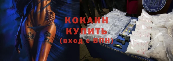 индика Арсеньев