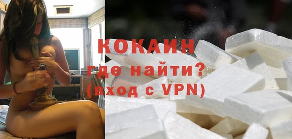 индика Арсеньев