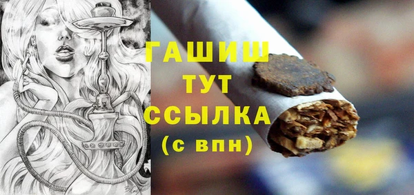 индика Арсеньев