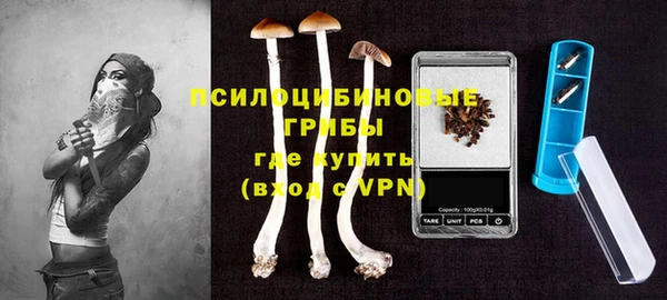 винт Алексин