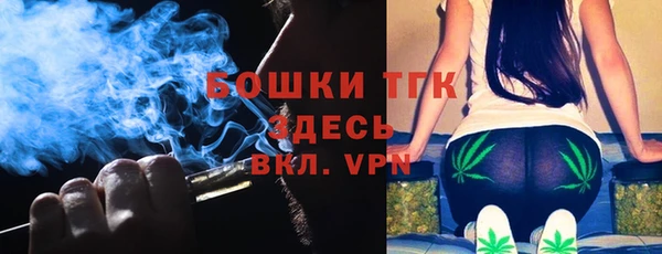 индика Арсеньев