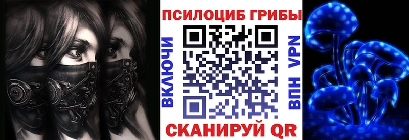 где найти   Октябрьск  Псилоцибиновые грибы прущие грибы 